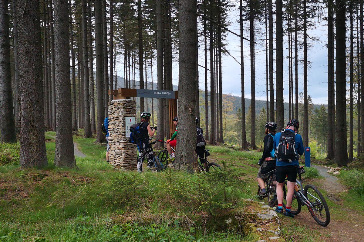 Rowery górskie MTB